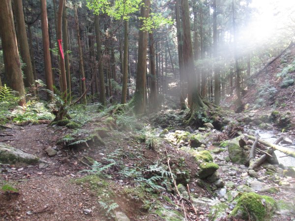 登山道